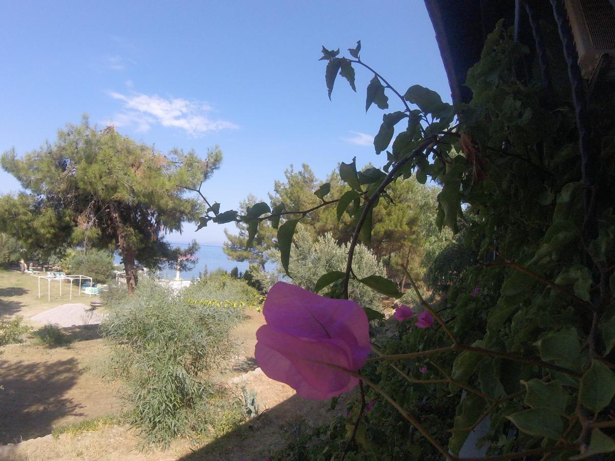 Rainbow Bay Ozdere Beach Hotel Exterior photo